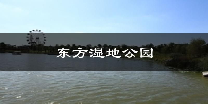 盐城大丰东方湿地公园天气预报未来一周