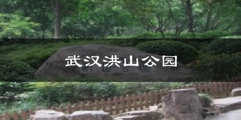 武汉洪山公园今日天气