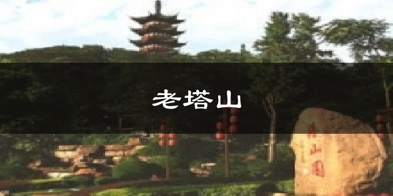 老塔山今日天气