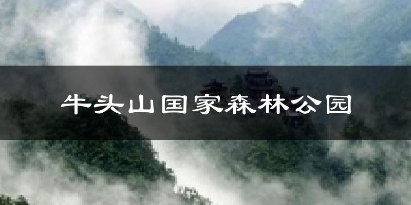 牛头山国家森林公园今日天气
