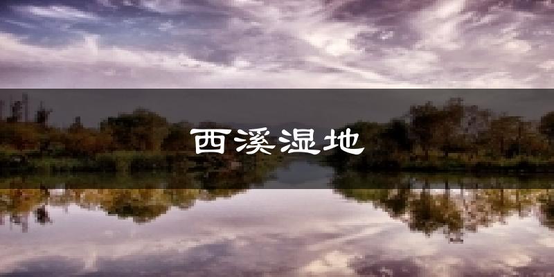 杭州西溪湿地天气预报未来一周