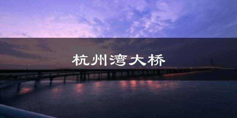 杭州湾大桥今日天气