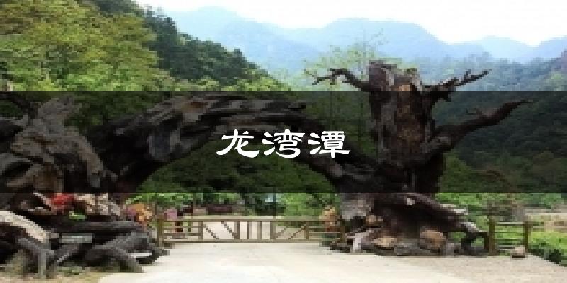 龙湾潭天气预报十五天