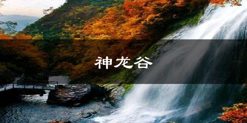 神龙谷今日天气