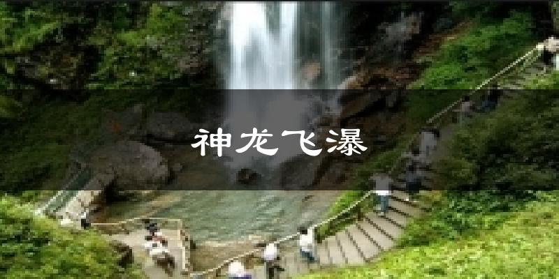神龙飞瀑今日天气