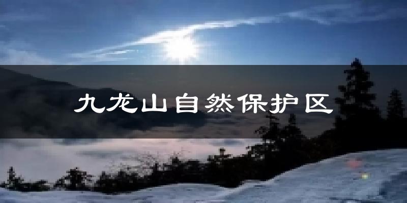 九龙山自然保护区今日天气