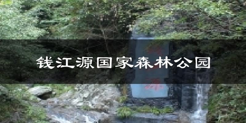 钱江源国家森林公园气温