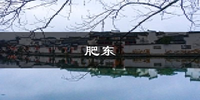合肥肥东天气预报未来一周