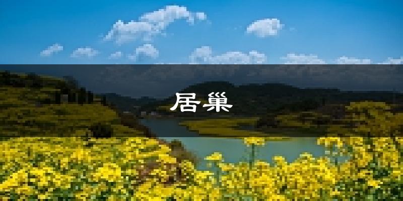 合肥居巢天气预报未来一周