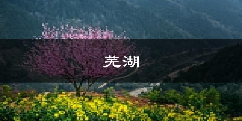 芜湖天气预报未来一周