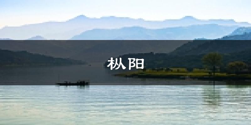 枞阳天气预报未来一周