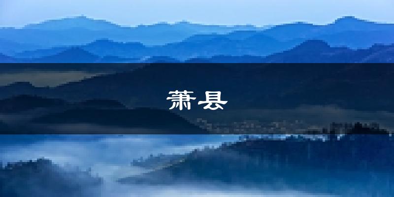 宿州萧天气预报未来一周
