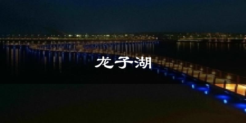 龙子湖今日天气