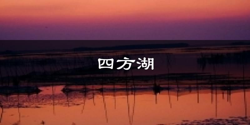 四方湖今日天气