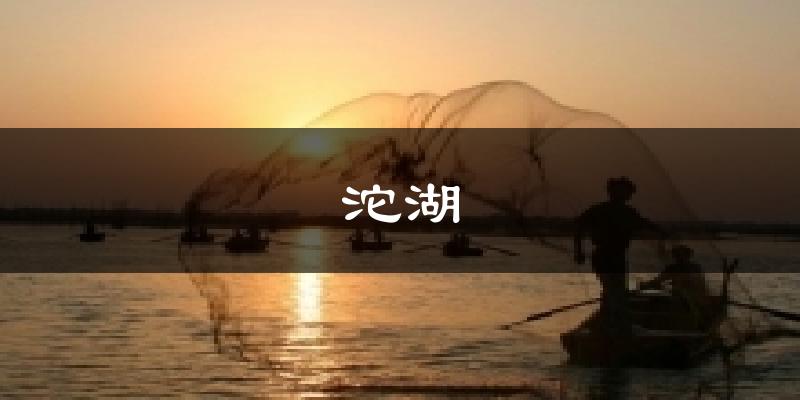 沱湖今日天气