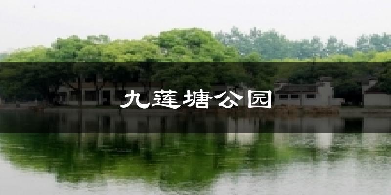 九莲塘公园气温
