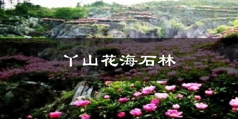 丫山花海石林今日天气
