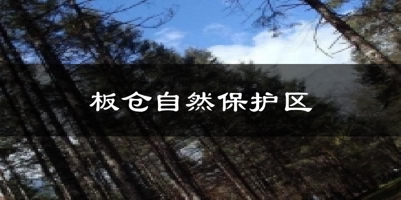 板仓自然保护区今日天气
