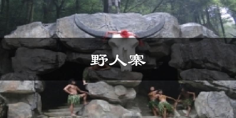 野人寨今日天气