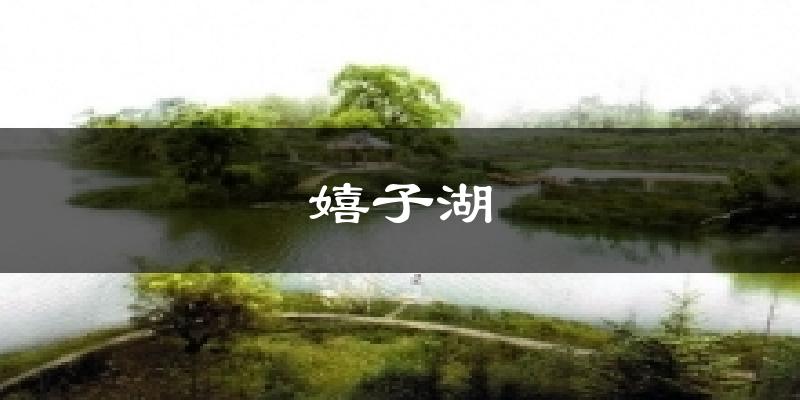 嬉子湖气温