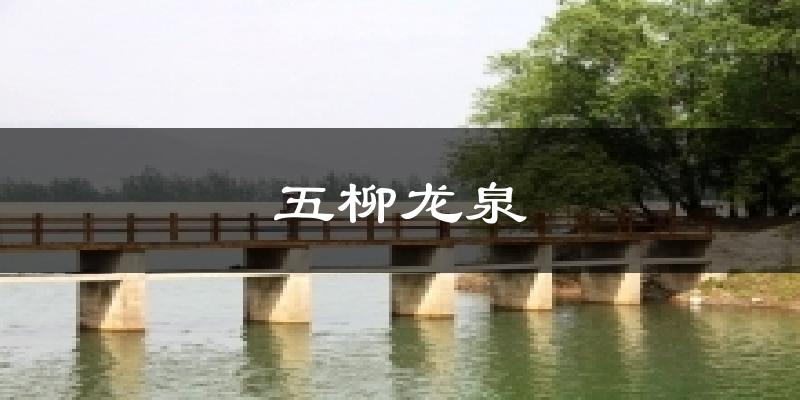 五柳龙泉气温