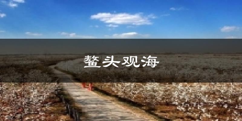 鳌头观海今日天气