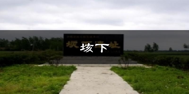 垓下今日天气