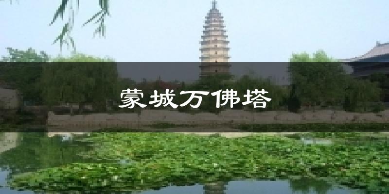 蒙城万佛塔气温