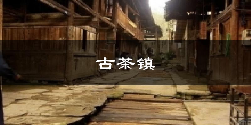 古茶镇气温