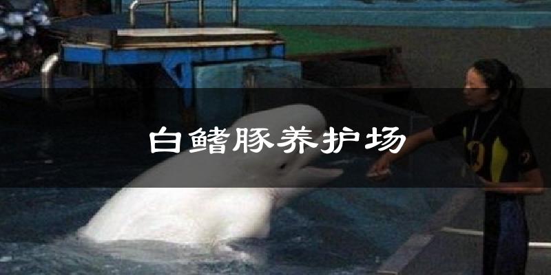 白鳍豚养护场气温