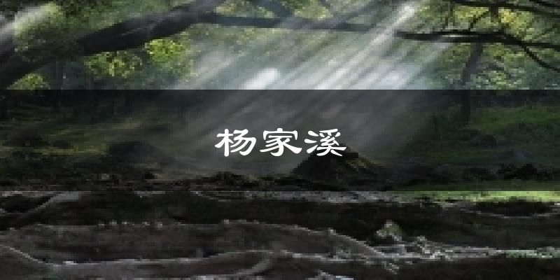 杨家溪气温