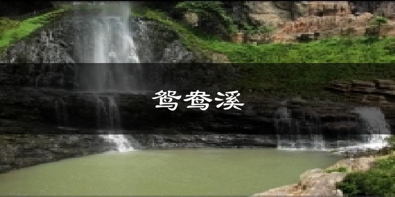 鸳鸯溪气温