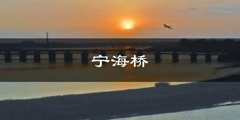 宁海桥气温