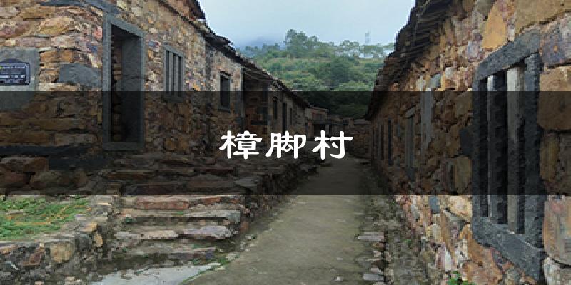 樟脚村气温