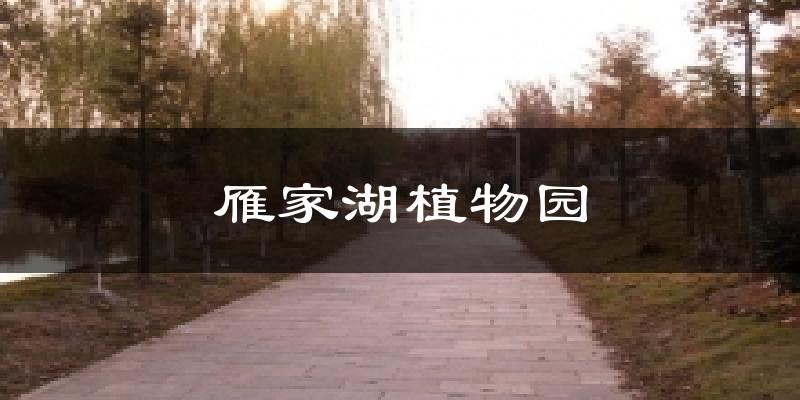 雁家湖植物园今日天气