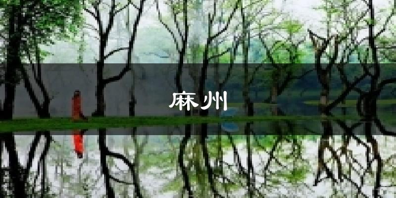 麻州今日天气