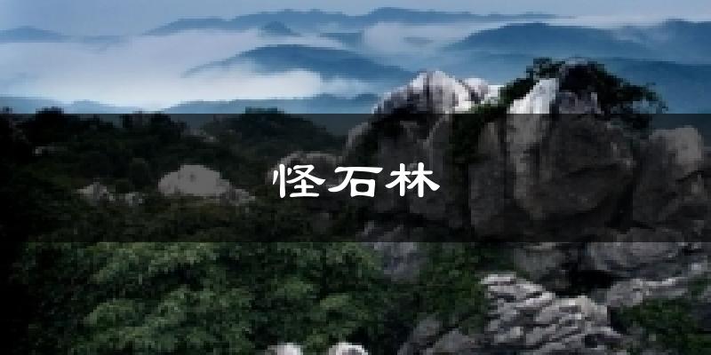 怪石林今日天气