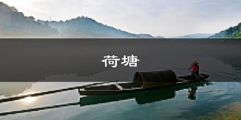 株洲荷塘天气预报未来一周