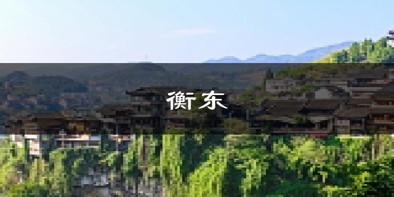 衡东天气预报未来一周