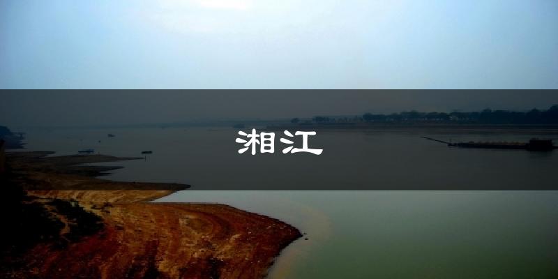 湘江今日天气