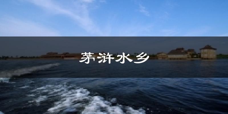 茅浒水乡气温
