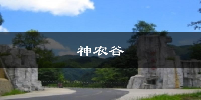 神农谷今日天气