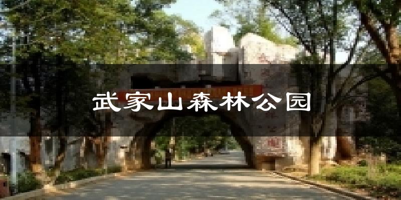 武家山森林公园今日天气