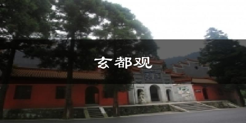 玄都观今日天气