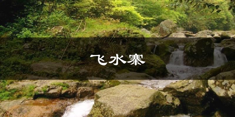 飞水寨今日天气