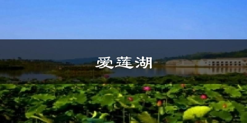 爱莲湖今日天气