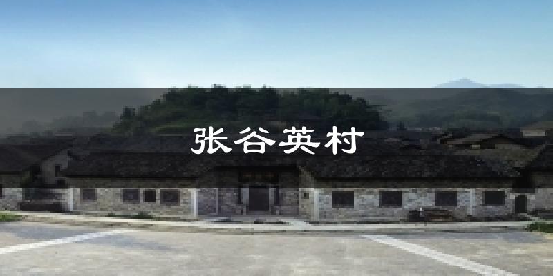 张谷英村今日天气