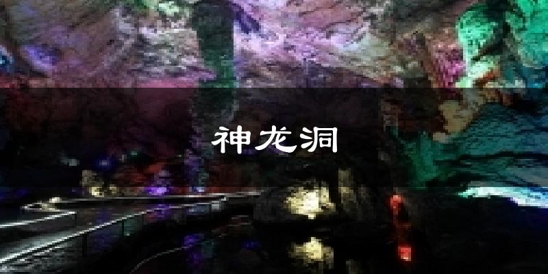 神龙洞今日天气
