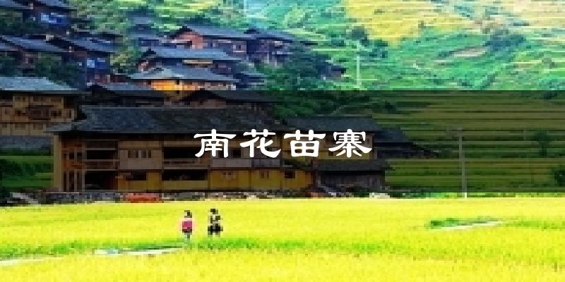 南花苗寨今日天气