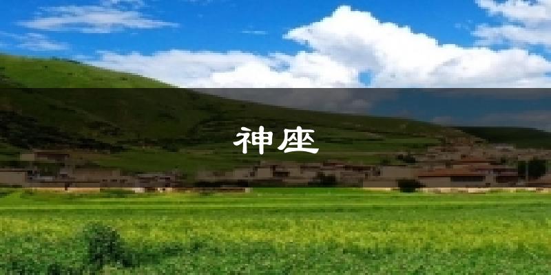 神座今日天气